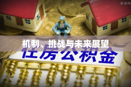 调兵山机制、挑战与未来展望